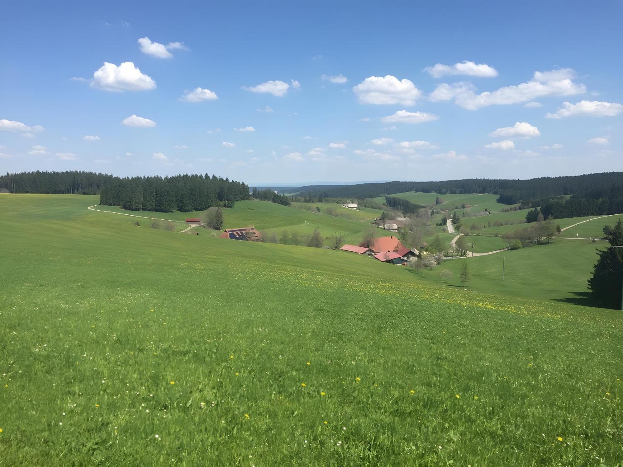 Blackforest Ferienwohnung St. Georgen im Schwarzwald Bagian luar foto