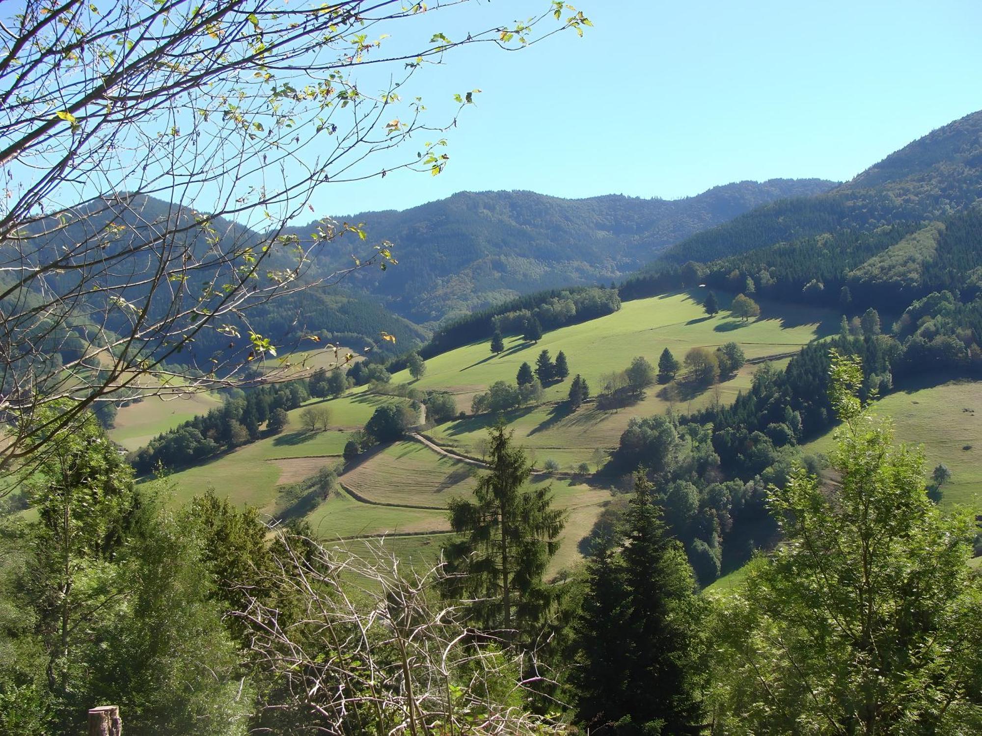 Blackforest Ferienwohnung St. Georgen im Schwarzwald Bagian luar foto